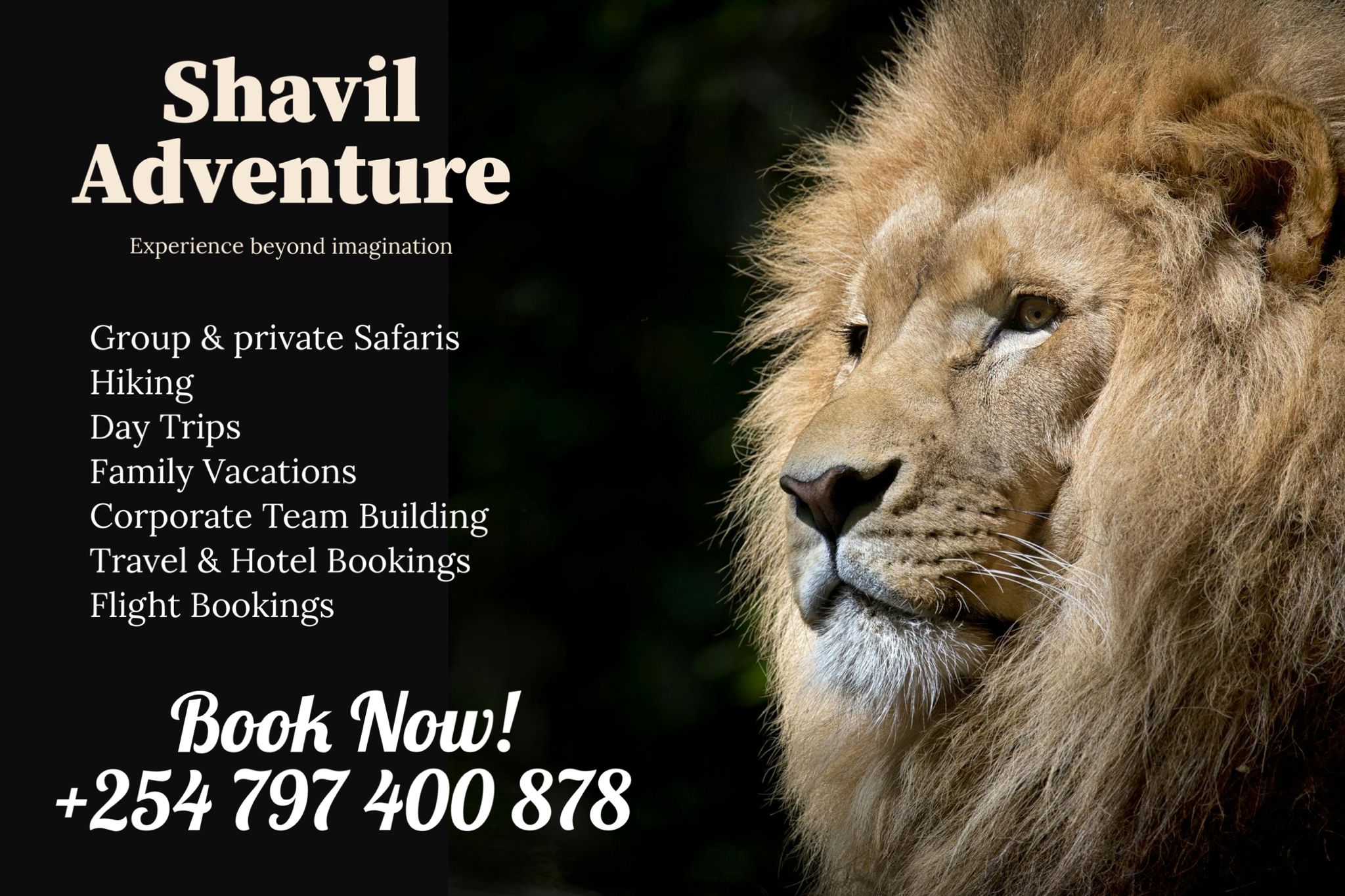 Jabulani Radio Advertising Shavil Adventure.jpeg (410 KB)